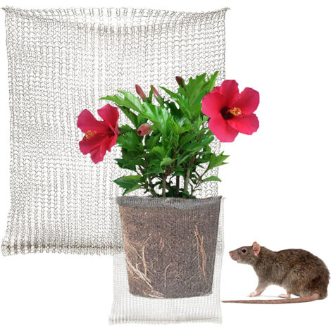 Protecteur de Racines - Panier de Protection en Maille Acier 304 Inoxydable 18x16 pouces pour Fruits, Légumes et Plants - Réutilisable, Résistant (1 pièce) (1/5)