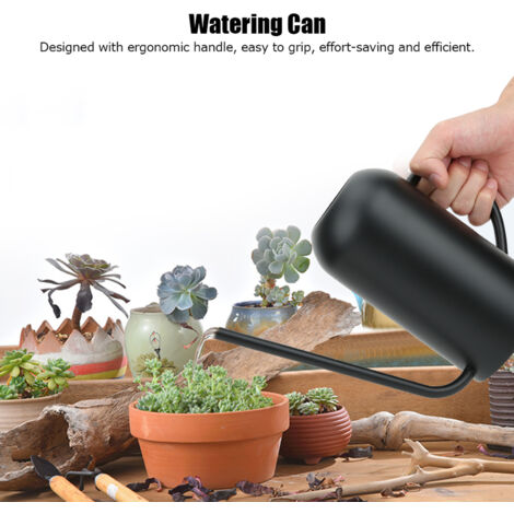 Arrosoir Professionnel en Acier Inoxydable 1.5L pour Jardin avec Bec Long (1/5)