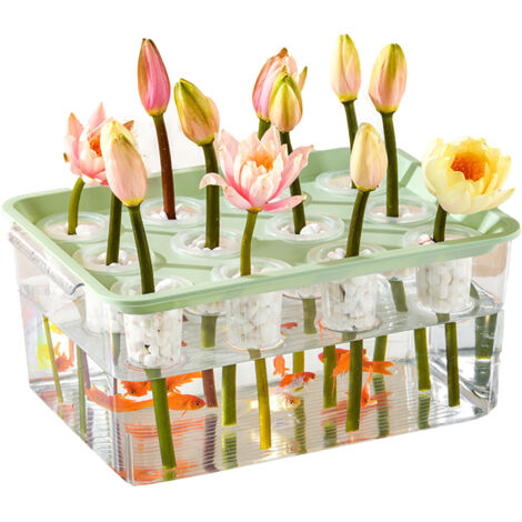 Aquarium Transparent Hydroponique avec Couvercle et 12 Pots - Pour Balcon et Jardin, Rangement pour Poissons Rouge - Bassin Plastique Durable