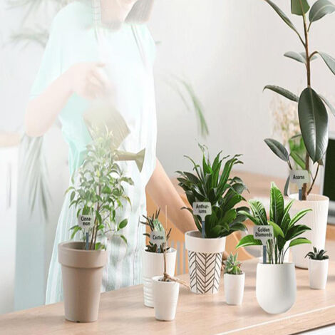 Etiquettes de Plantes Réutilisables 10 Étiquettes de Plante en Acier Inoxydable 304 Résistantes à l'eau pour Jardins Étiquettes de Plante avec Stylo pour Fleurs et Jardins (1/5)