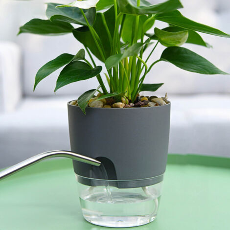 Pot de Culture Autonome Désign Gris AS avec Cordon de Coton pour Plantes Intérieur/Extérieur Diamètre 15.3cm (1/5)