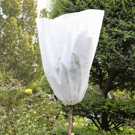 Housse Protection Plantes Anti-Froid 0.8x1m Blanc Non-Tissé 1 Pièce (1/3)