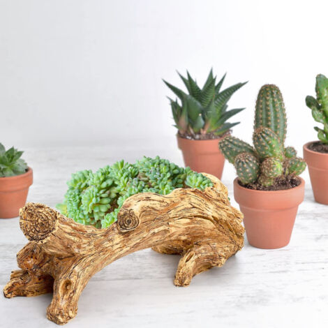 Pots pour plantes artificiels en résine simulateur de racines de bois flotté vintage conteneur pour succulentes décoratif pour maison et jardin (1/5)