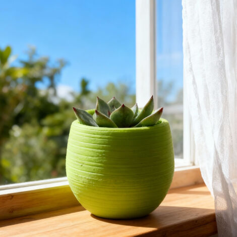 Pot de plantes mini [pots de semis] Plastique durable [avec trous de drainage] pour jardin balcon bureau décoration [étui de fleur] plastique (1/5)