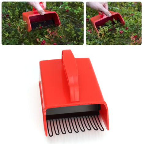 Râteau à Bleuets Scoop avec Combs Métalliques et Manche Ergonomique PP et Fer 472g 1 unité (1/5)