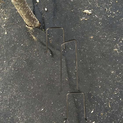 Clou de Fixation Métal, Staple Black 6'', 20 Pièces pour Jardin, Terrain et Équipement (1/5)