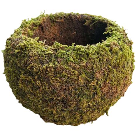 Pot de Fleur Moss Ball Kokedama - Jardinage Japonaise avec Moss Séché Naturel - Diamètre Extérieur/Intérieur: 7x3cm à 20x10cm - Décoration Intérieure et Balcon - Anti-Radiation et Purification d'Air (1/5)
