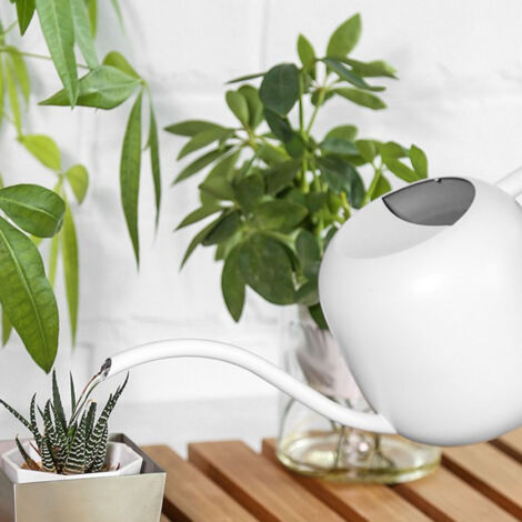 Arrosoir Mano-Max - Pot arrosoir Multifonction haute capacité avec bec long pour plantes intérieur et extérieur 1200ML Blanc - 1 pièce - Stainless Steel + Bois (1/5)