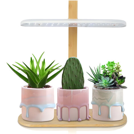 Lampe LED de Croissance Plein Spectre 10W - Lampe pour Plantes Indoor, Hauteur Adjustable, Timer 2H/4H/8H, 4 Niveaux de Lumière, Table Design Bambou ABS (1/5)