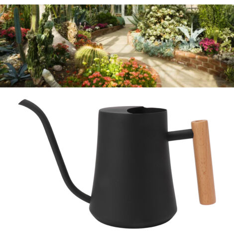 Arrosoir 不锈钢 复古 小型 植物 室内 户外 1000ml noir avec manche bois (1/5)