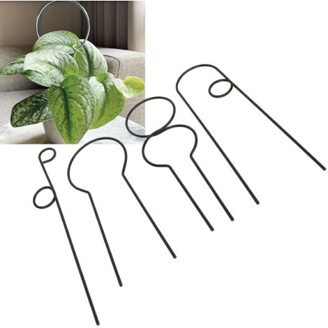 Tuteur pour plantes grimpantes - Structure de support en fer 4 pièces stackable pour intérieur et extérieur (1/5)