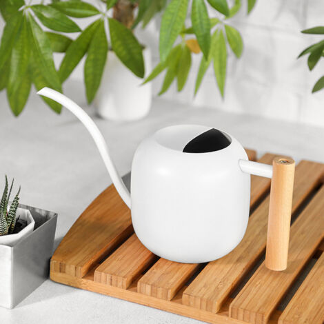 Arrosoir d'intérieur en acier inoxydable avec manche bois et bec long, modèle 1.2L Blanc pour plantes d'appartement, succulentes, bonsaïs (1/5)