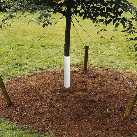 Protecteur de Tronc pour Arbres - Tube de Protection Plastique Recyclable - Diamètre 4.8cm, Hauteur 40cm - 6 Pièces - Protection contre Rongeurs et Tondeuses (1/5)