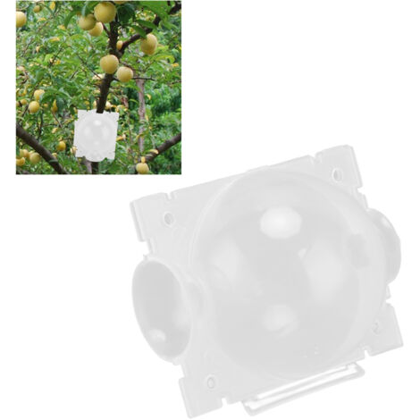 Boîte de Propagation de Racines pour Plantes - 10PCS - Structure Solide avec Sécurité à Loquet - Portable et Léger pour Boules de Racines (1/5)