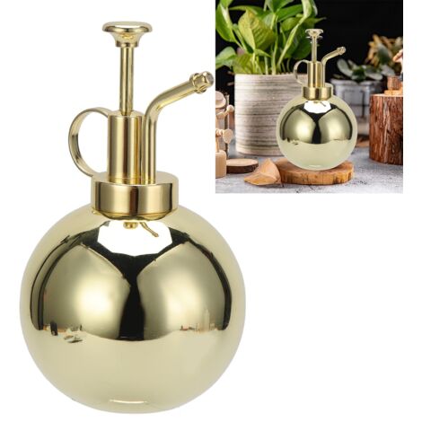 Arrosoir Spray 500ml en Acier Inoxydable 304 Doré pour Plantes d'Intérieur (1/5)
