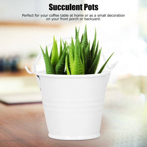 Lot mini pour plantes succulentes en métal, 10 pots décoratifs intérieur/extérieur blanc 4x5.5x6cm (1/5)