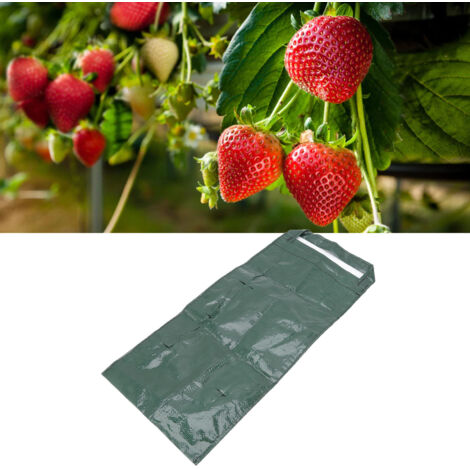 Sachet de culture suspendu multi-holes en PE pour plantes - Vert - 8 trous pour fraises, légumes et fleurs (1/5)