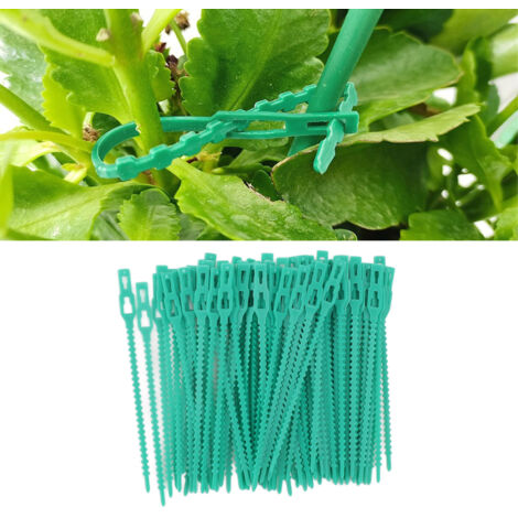 Attaches végétaux Zip Garden avec [300 attaches plastiques] + [Attaches Zip Garden] + [Longueur: 13cm] + [Réutilisable vert] (1/5)