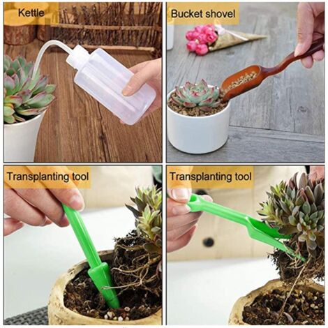 Ensemble de 7 outils de jardinage miniatures pour plantes succulentes et pots intérieurs, kit complet avec mini-transplanteur et accessoires en plastique et fer (1/5)