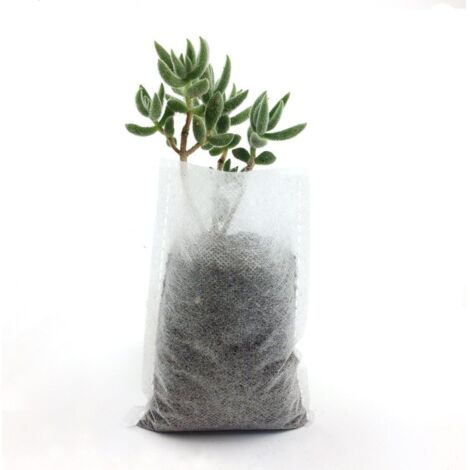 Sac de plantation pour jeunes arbres Lot de 200 ou 400 pots Taille 8cm à 20cm Haute qualité Matériel durable (1/5)