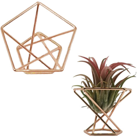 Porte Air Plant Géométrique en Métal - Support Pentagone 5.5cm Coloré (Rose Gold/Gold/Silver) - Déco Home & Event Unique (1/5)