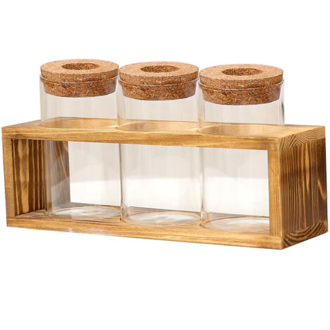 Pot de fleur hydroponique avec couvercle et socle - 3 pots décoratifs en verre pour desk et fenêtre - Idée cadeau plante (1/5)