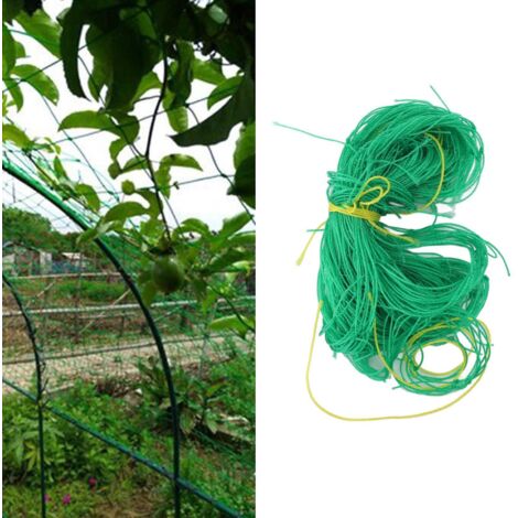 Filet de Support pour Plantes PE 1.8x1.8m Treillis Jardinnage Clôture pour Cucurbitacées Chrysanthèmes (1/5)