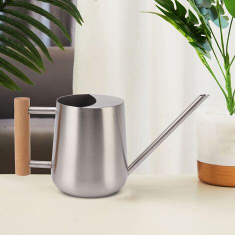 Arrosoir "SILVER Breeze" 900ml - Pot d’eau pour plantes en acier inoxydable avec bec long et manche bois - Élégant pour jardin et intérieur (1/5)