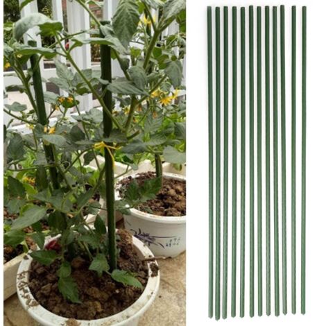 Armature de Plantes 12 Pièces pour Tomates et Concombres Serre Supports Jardinière Tuteur Métal Plastifié 75cm/0.75m Durable Multifonction
