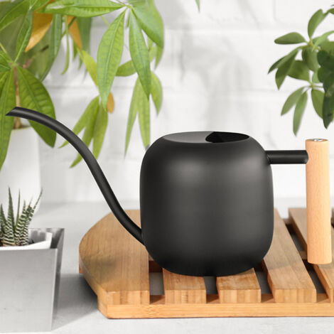 Arrosoir d'Intérieur 1,2L Mano Acier Inoxydable avec Bec Long et Manche Bois pour Plantes, Succulentes et Décor (1/5)