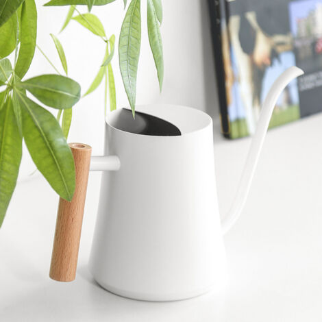 Arrosoir d'intérieur 1L Stainless Steel Manchette Bois Nature Pointe Longue Blanc Mat Idéal pour Plantes, Succulentes, Bonsai (1/5)