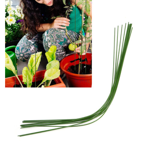 Support pour Plantes DIY, Stake de Jardin Flexible Multifonctionnel, Kit de 12 Branches en Métal Plastique 1m, Cages Tomates et Modélisation (1/5)