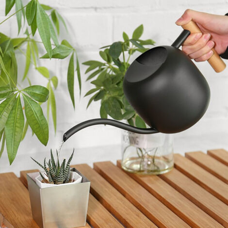 Arrosoir Multifonction Capacité 1200ML Long Bec pour Plantes Intérieur/Extérieur Design Élégant (1/5)