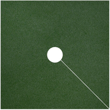 Protection Racines et Anti-Mauvaises Herbes - Feuille Agricole Perméable en Matériaux Nouveaux - 1.6×1.6m ou 1.2×1.2m - Vert - Fixation par Piquets Fournis (1/5)