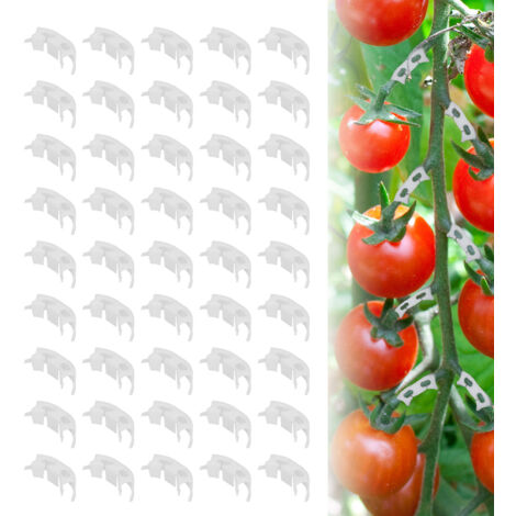 Attaches végétales pour fixation des plantes avec support anti-flexion - Lot de 50 attaches de soutien pour plantes de jardin en plastique durable (1/5)