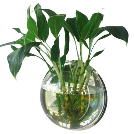 Aquarium mural acrylique suspendu [Mano] Style naturel Cylindre aquatique avec fond miroir et support pour plantes [Type 1] Diamètre 230mm Acrylique transparent Décor mural pour plantes aquatiques et 