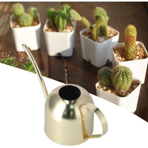 Arrosoir 1000ml Vintage Luxe Stainless Steel doré pour Succulentes et Plantes D'intérieur (1/5)