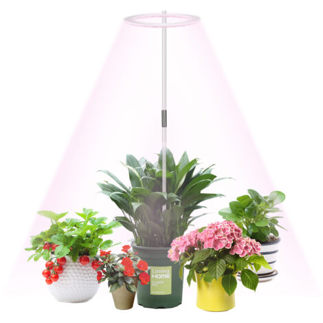 Lampe de croissance LED Full Spectrum pour plantes intérieures avec timer 8/12/16h pour fleurs, légumes, succulentes - Blanc/Rose (1/5)