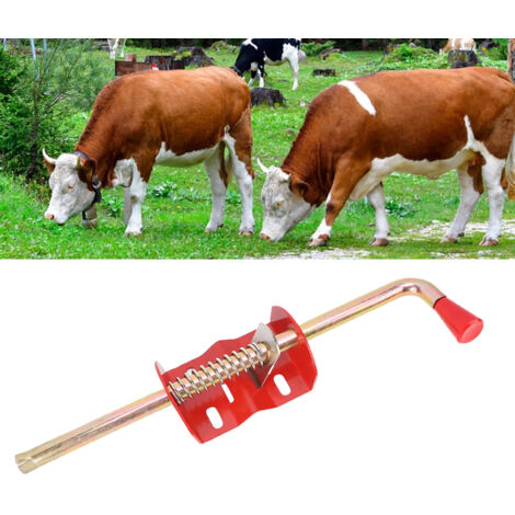Barre d’Ancrage pour Portail en Tube Farm – Set de 12 Pièces en Fer 17.3in – Sécurisation de Portail Bétail et Ranch (1/5)