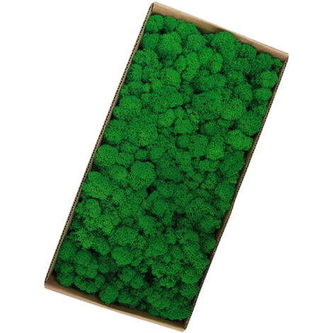 Mousse Stabilisée Décorative 500g pour Art Végétal Mur, Terrarium & Jardins Miniatures (1/5)