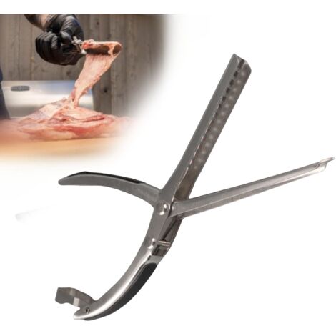 Pince Professionnelle pour Membrane de Porc - Diseur de Membrane en Acier Inoxydable Ergonomique et Lavable en Lave-vaisselle pour Préparation de Grillades (1/5)