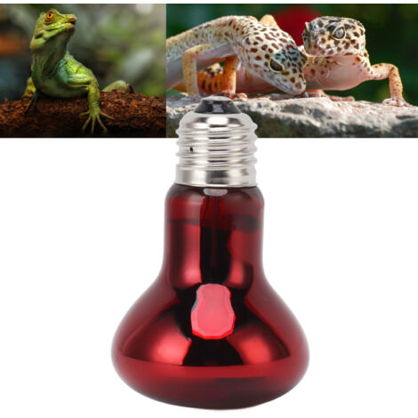 Lampe chauffante reptile E27 UVA, ampoule basking amphibien jour et nuit pour dragon barbu et lézard, chauffage à 220-240V rouge (1/5)