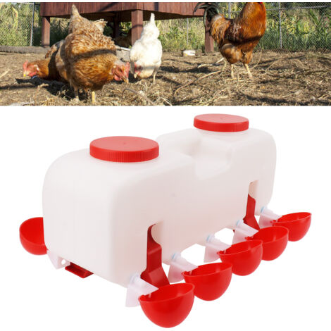 Abreuvoir Automatique 10L pour Poulets, Oies, Canards - Polypro (1/5)