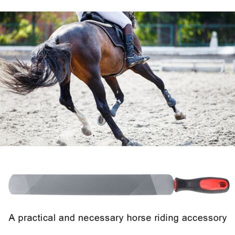 Lime à double face pour le parage des sabots de cheval - Lime pour ferrures et équitation - Matériel en carbone T12, 48,5 cm, double grain - Lime double face pour ferrures (1/5)