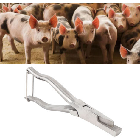 Poires à marquer pour animaux Matériel agricole Notoir U en acier inoxydable pour marquage précis et sans blessure (1/5)