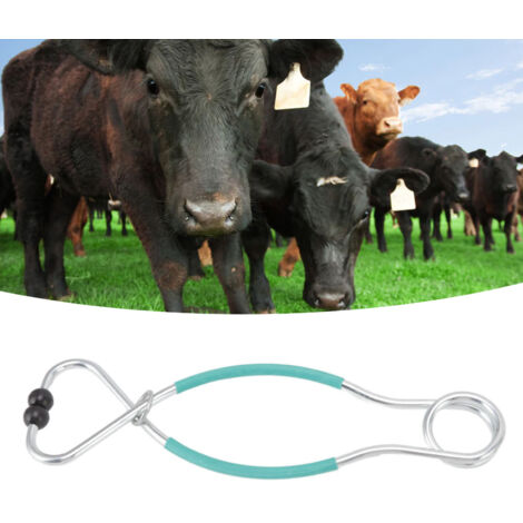 Pince nasale pour bovins - Pince bullnose sans perforation traction forte pour ferme ranch veterinaire materiaux fer L Vert (1/5)