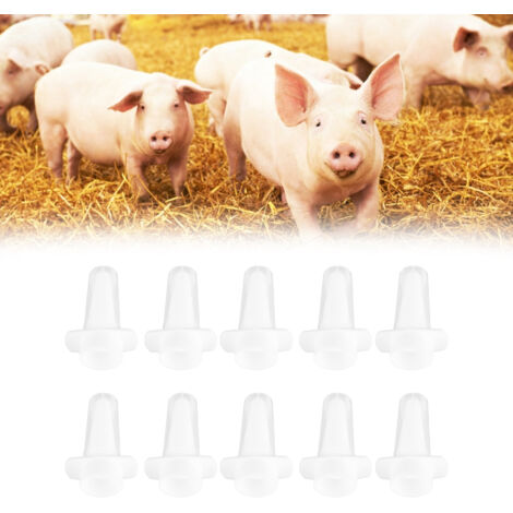 Embout de Spray Nasal pour Porcelets - 10Pcs - Matériel PP - 3.7cm - Transparent (1/5)