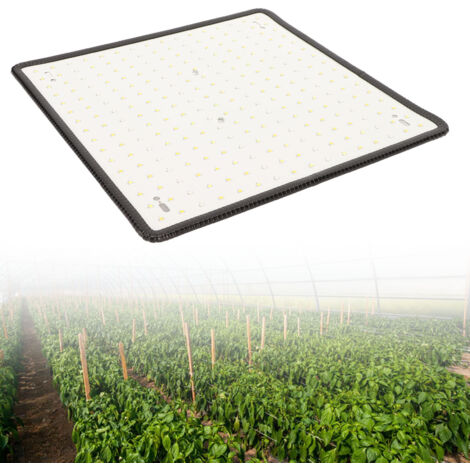Lampadaire LED Grow Light 1000W Lampe de Culture Professionnelle avec Spectre Rouge et Bleu pour Plantes d'Intérieur et Serre en Aluminium et PVC (1/5)