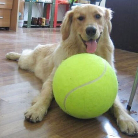 Balle de Tennis pour Chiens Inflatable Giant 24cm Marque Signature Play Toy 
No-Brand Marque Signature [Balle de Tennis pour Chiens] [Inflatable Giant 24cm] [Rubber Enhanced] 
1