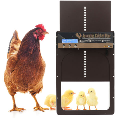 Porte Automatique Poulailler - Trappe Programmable Aluminium avec Timer, Détection Lumière et Contrôle à Distance (1/5)